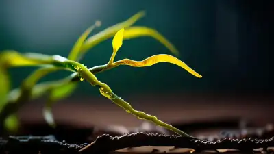 Esta Enredadera No Tiene Hojas y Huele a Su Próxima Víctima: Es un Vampiro Vegetal