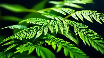 La Planta Que Siente Tu Presencia… ¿Y Decide Que Eres Una Amenaza?